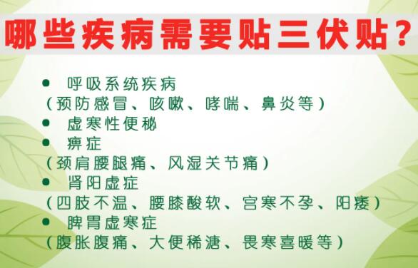 2、什么是三伏貼？三伏貼的作用？